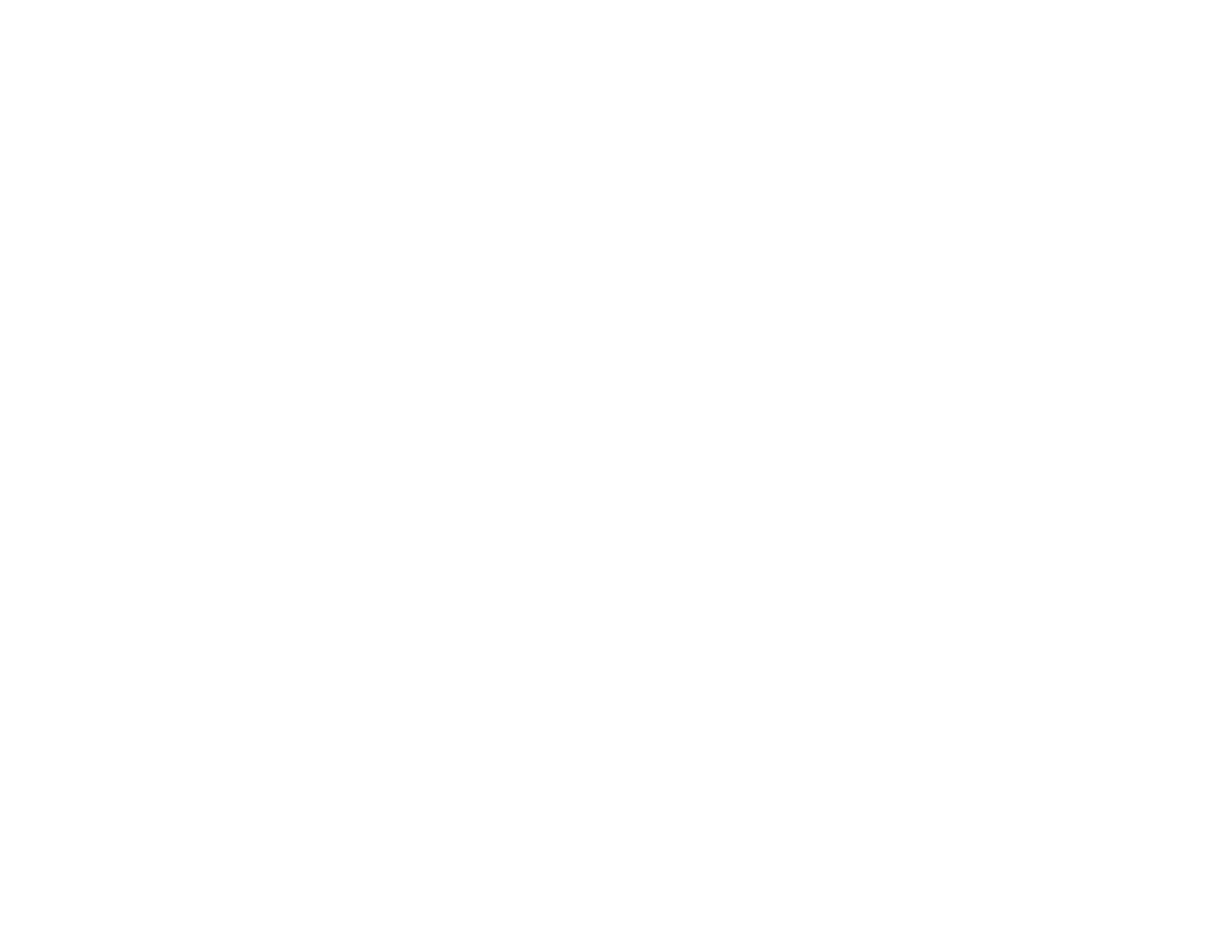 BiXiongAI